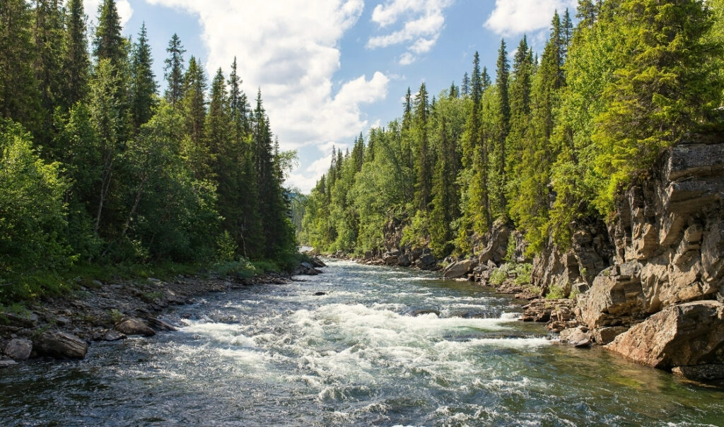 rivière