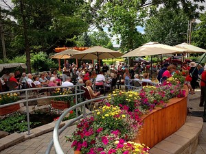 Aménagement extérieur avec magnifiques fleurs