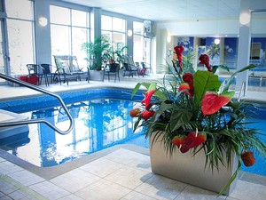 Manoir Dollard-des-Ormeaux magnifique piscine entourée de fleurs