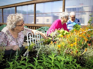 Manoir Sorel Flowers on the terrace