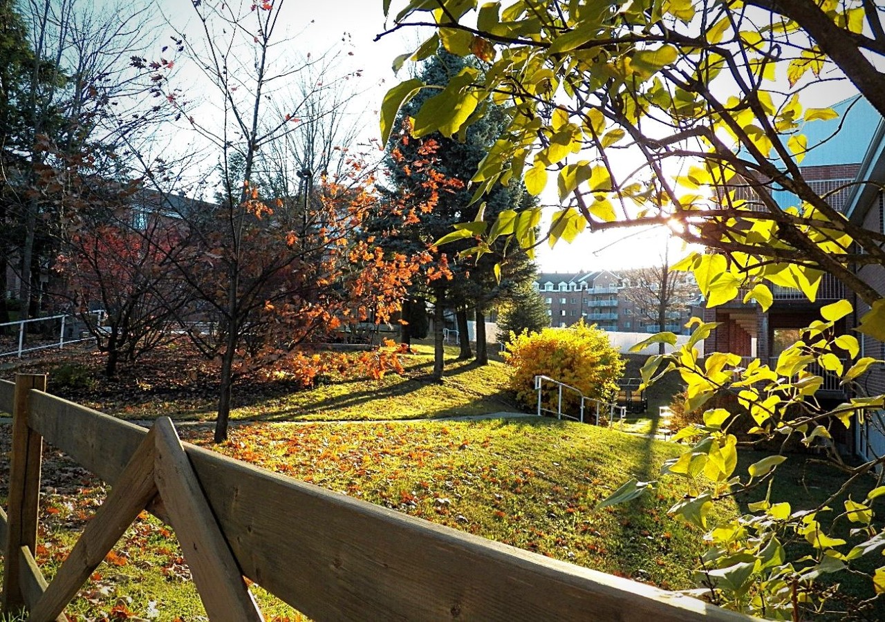 Manoir Sherbrooke Nature abondante aux alentours de la résidence
