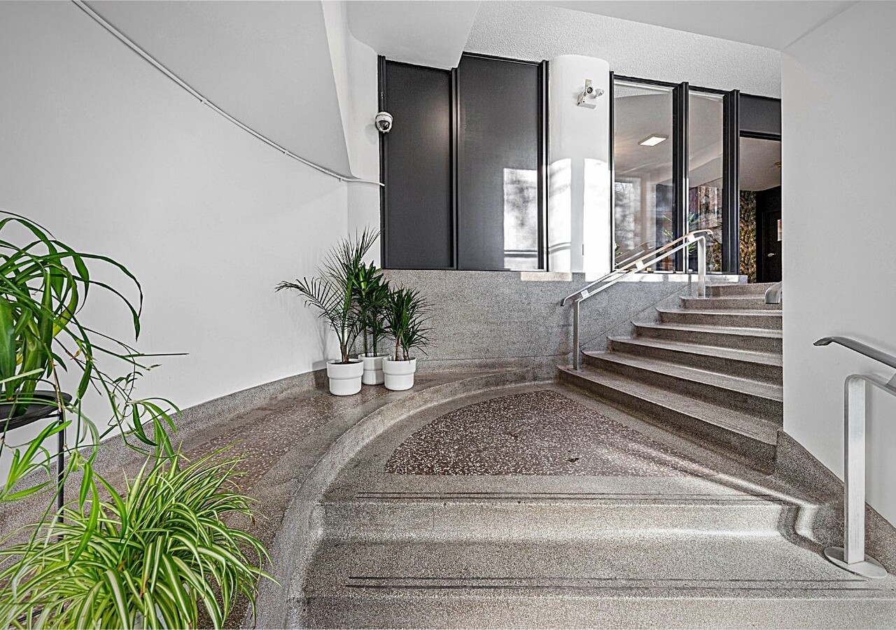Escaliers avec plantes