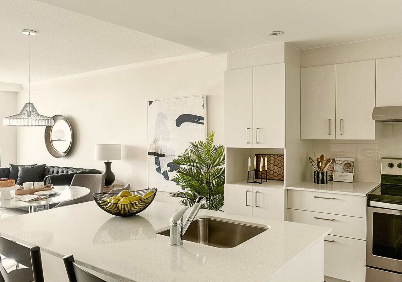 Margo appartement moderne