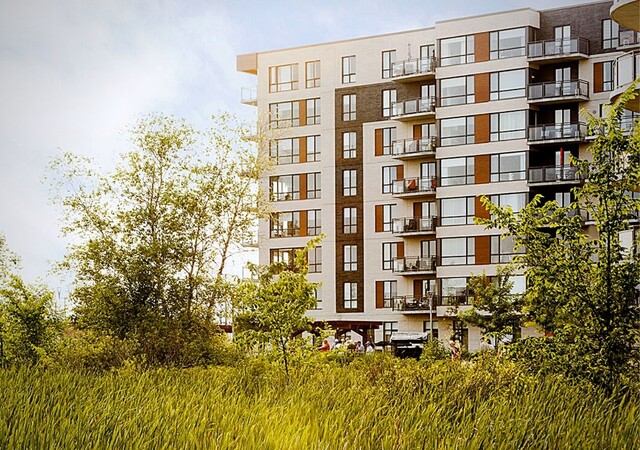 Seva – photo 1